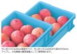 画像2: サンボックス #25C-B 三甲株式会社(サンコー) ※個人宅追加送料・出荷単位(5個)未満別途送料 (2)