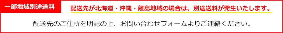 新規購入 三甲 ボックス型コンテナ 超大型コンテナー 290002 ジャンボックス#1200 本体 オレンジ SK-1200-OR I270303 